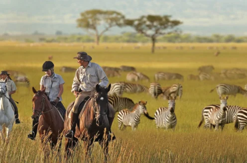 Three people on horseback ride through an open grassland with zebras grazing. Two distant trees stand in the background under a clear sky.